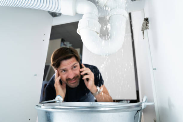 Best Sprinkler Systems  in Sauk City, WI