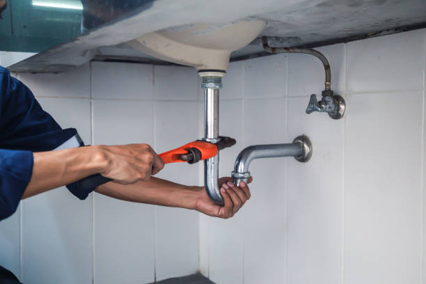 Best Plumbing Services Near Me  in Sauk City, WI
