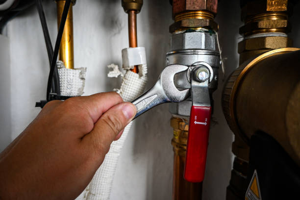 Best Leak Detection Services  in Sauk City, WI